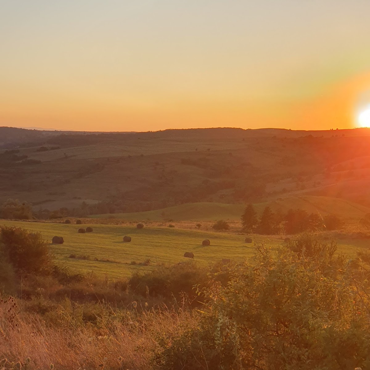 The Tiny House Transylvania & Chocolate Barn - foto 3