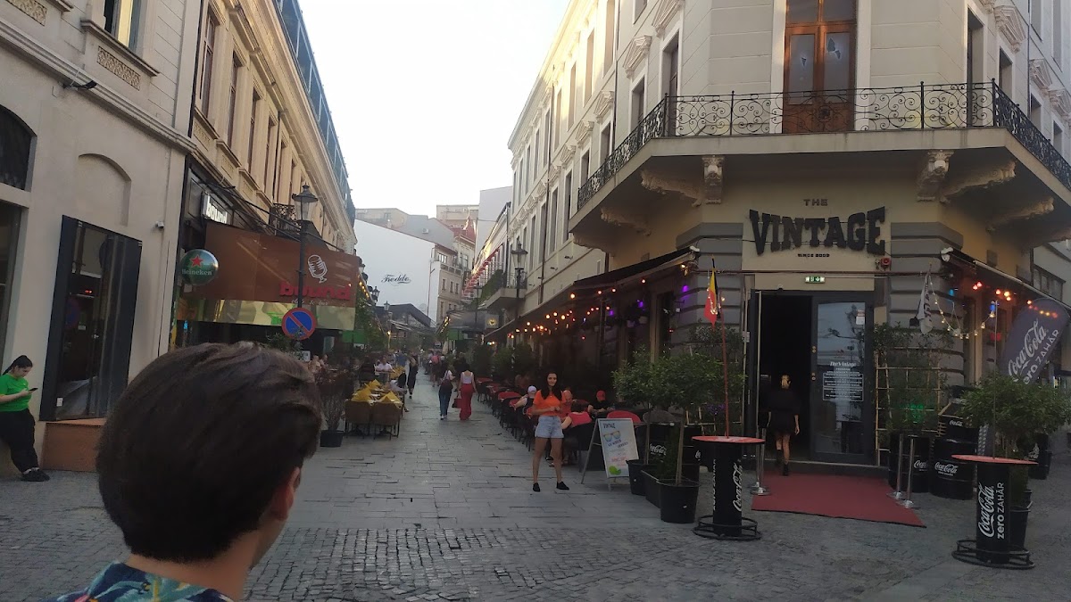 The Vintage - foto 4