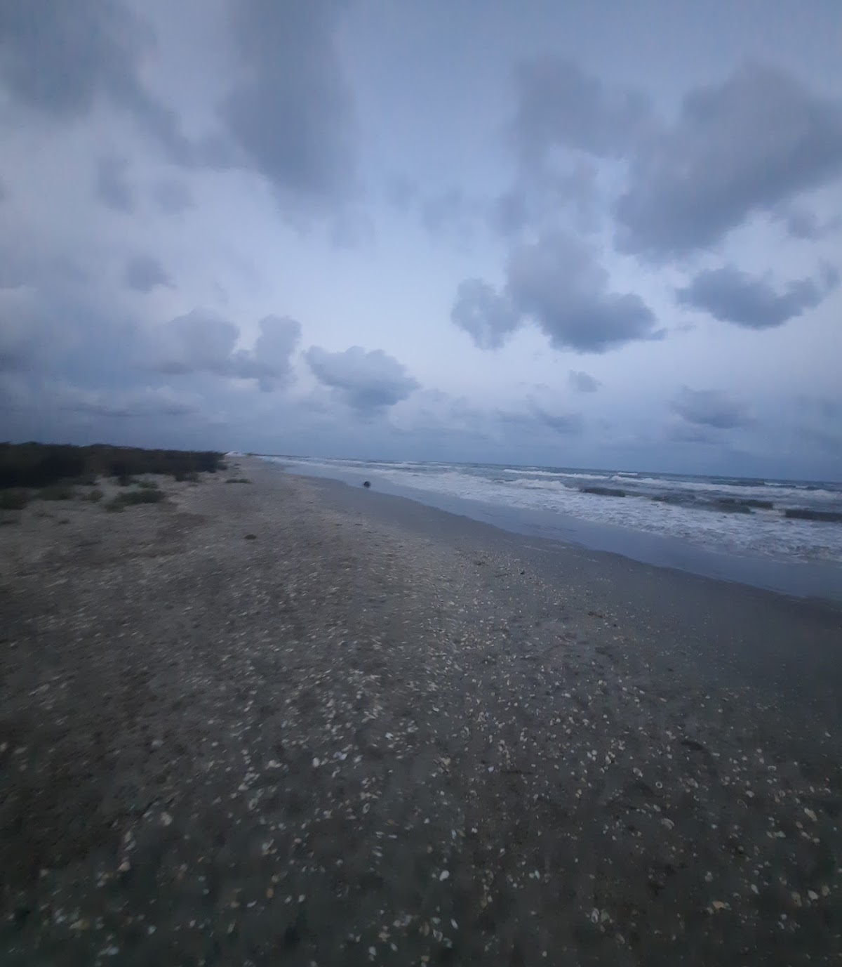 La Plage Sauvage