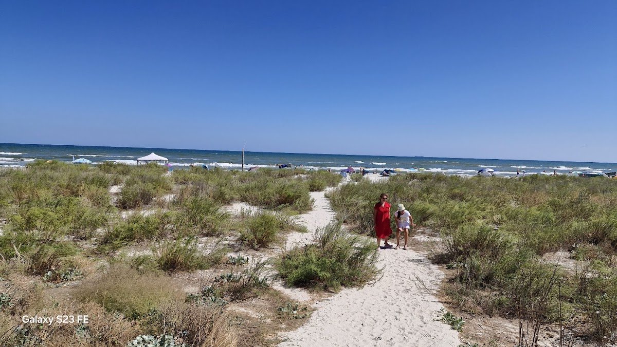 The Wild Beach - foto 2