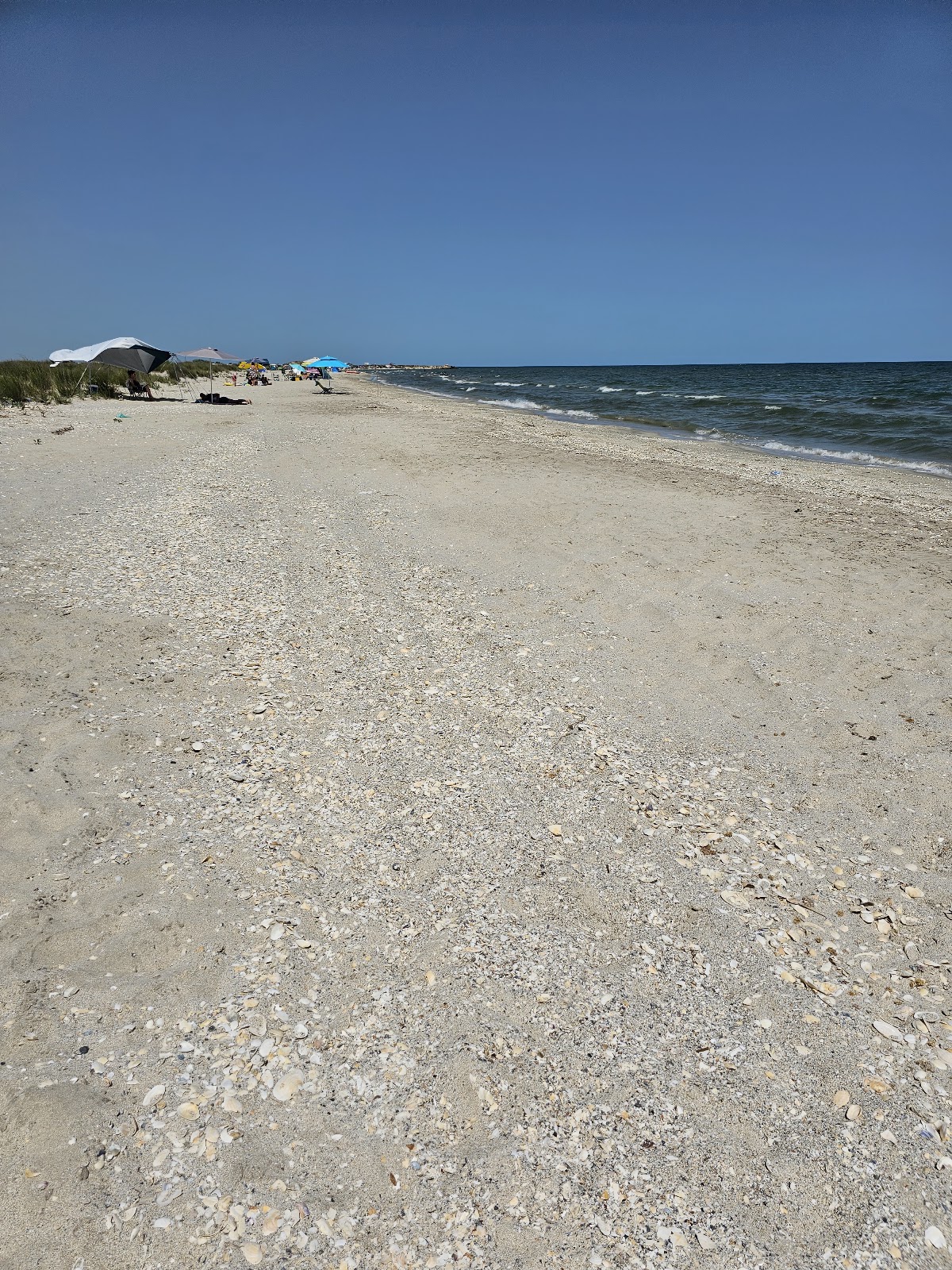 The Wild Beach - foto 3