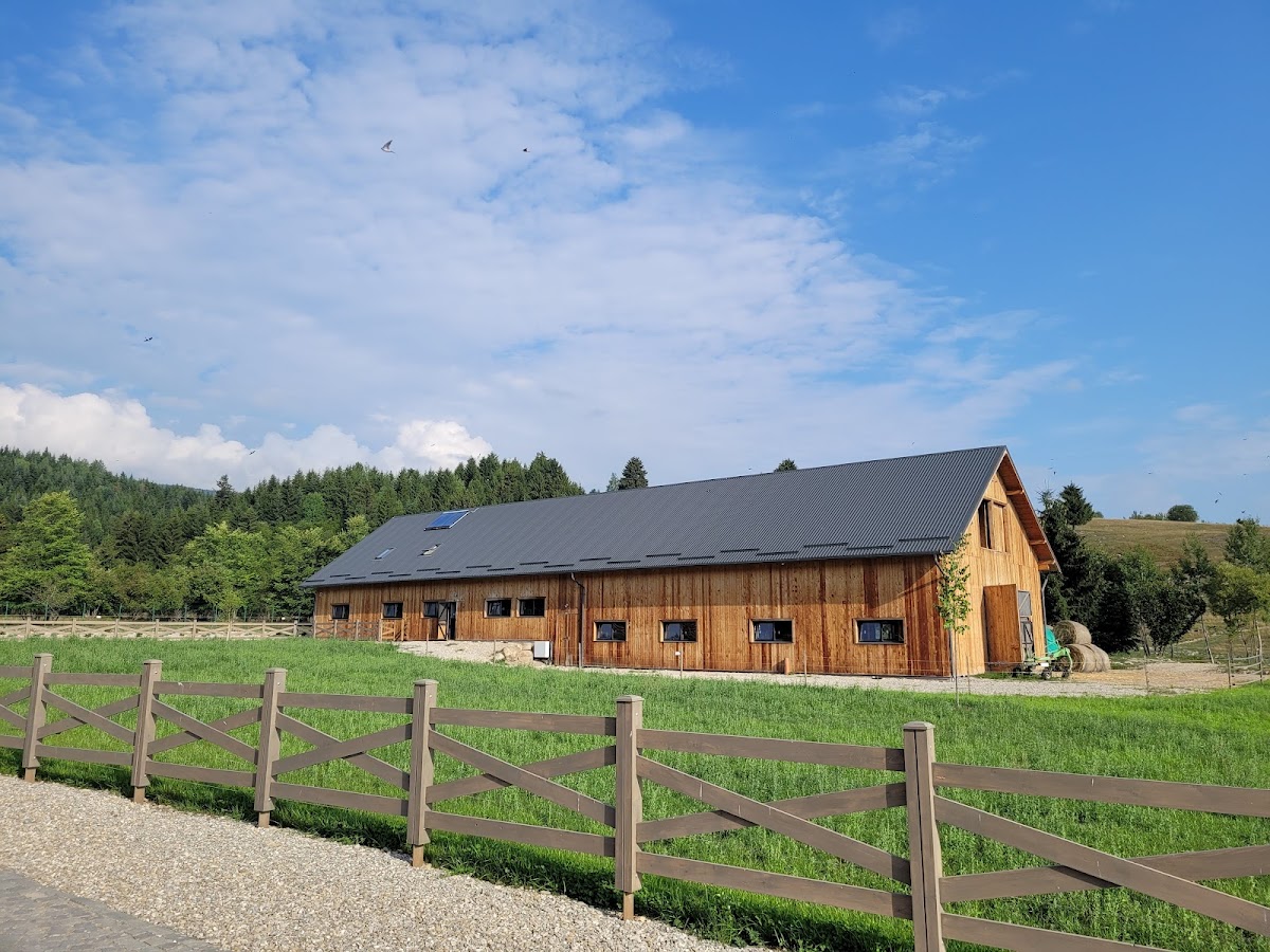 Chalet Timian