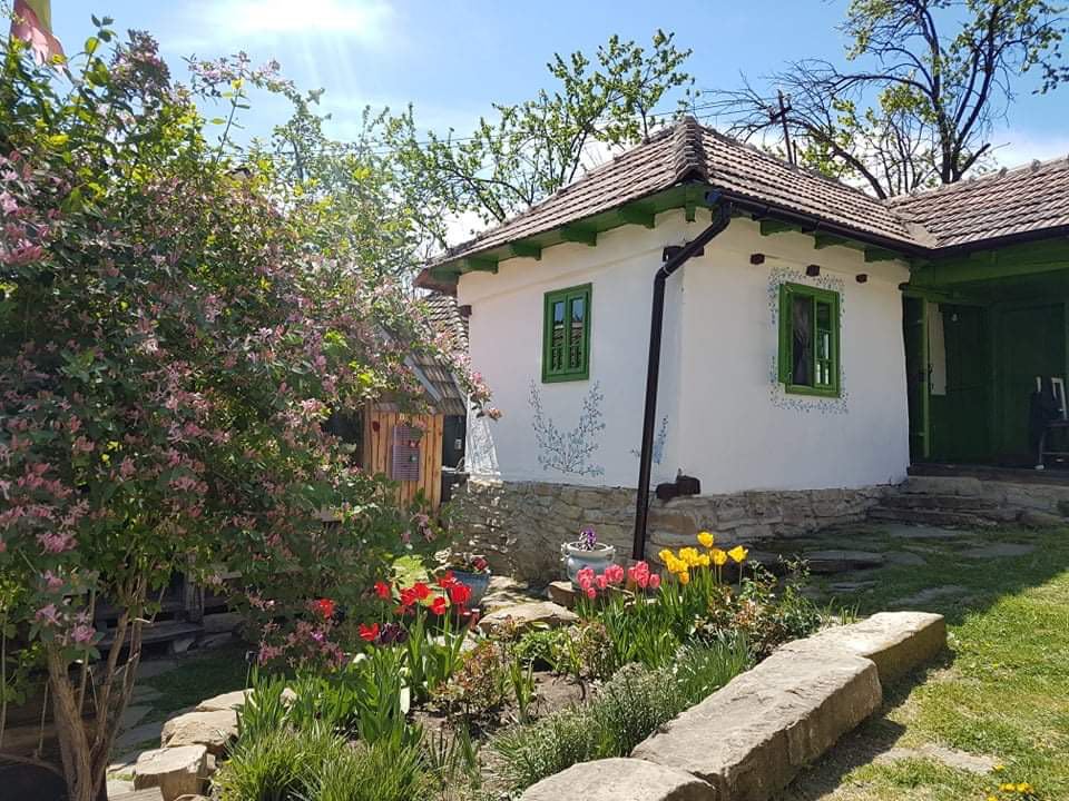 Tinutul Luanei Glamping Resort, Ruginoasa