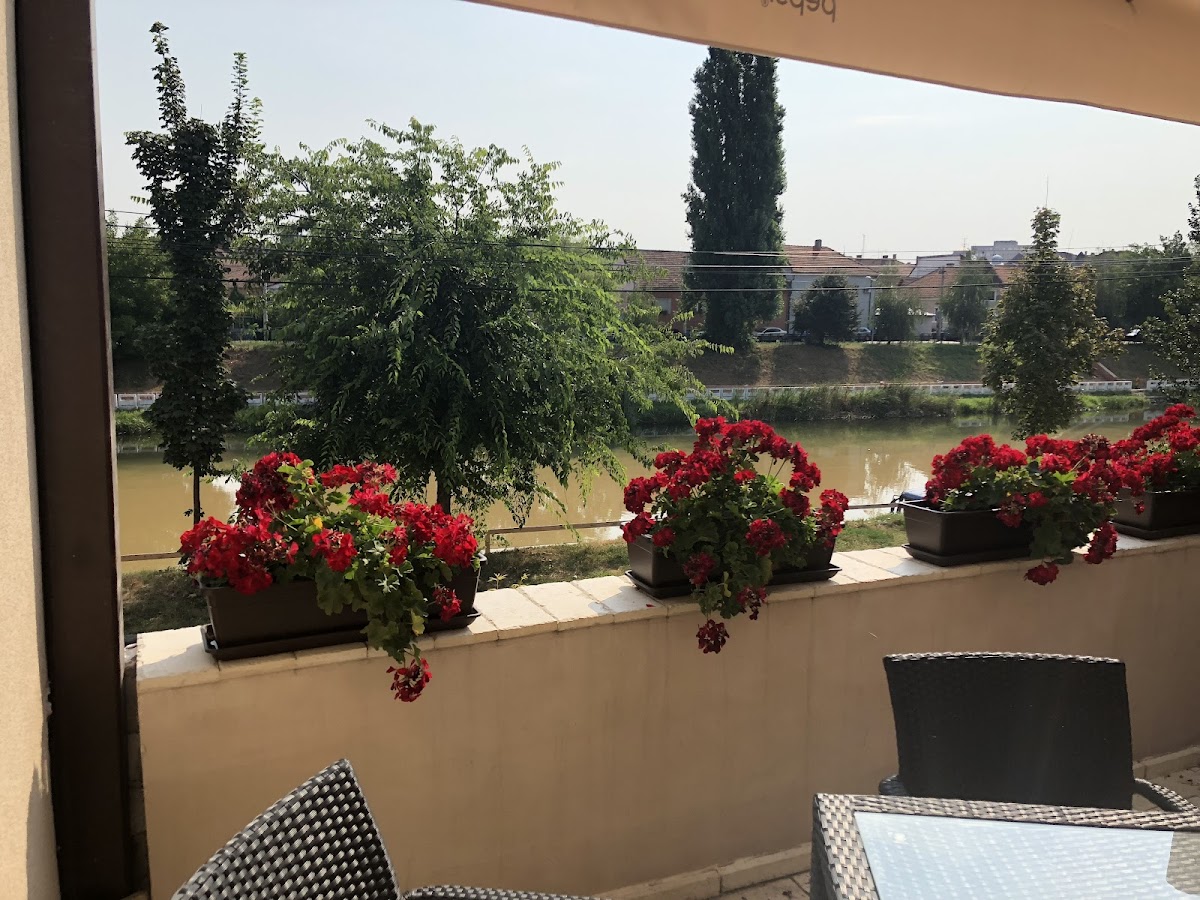 To Chefs, Oradea
