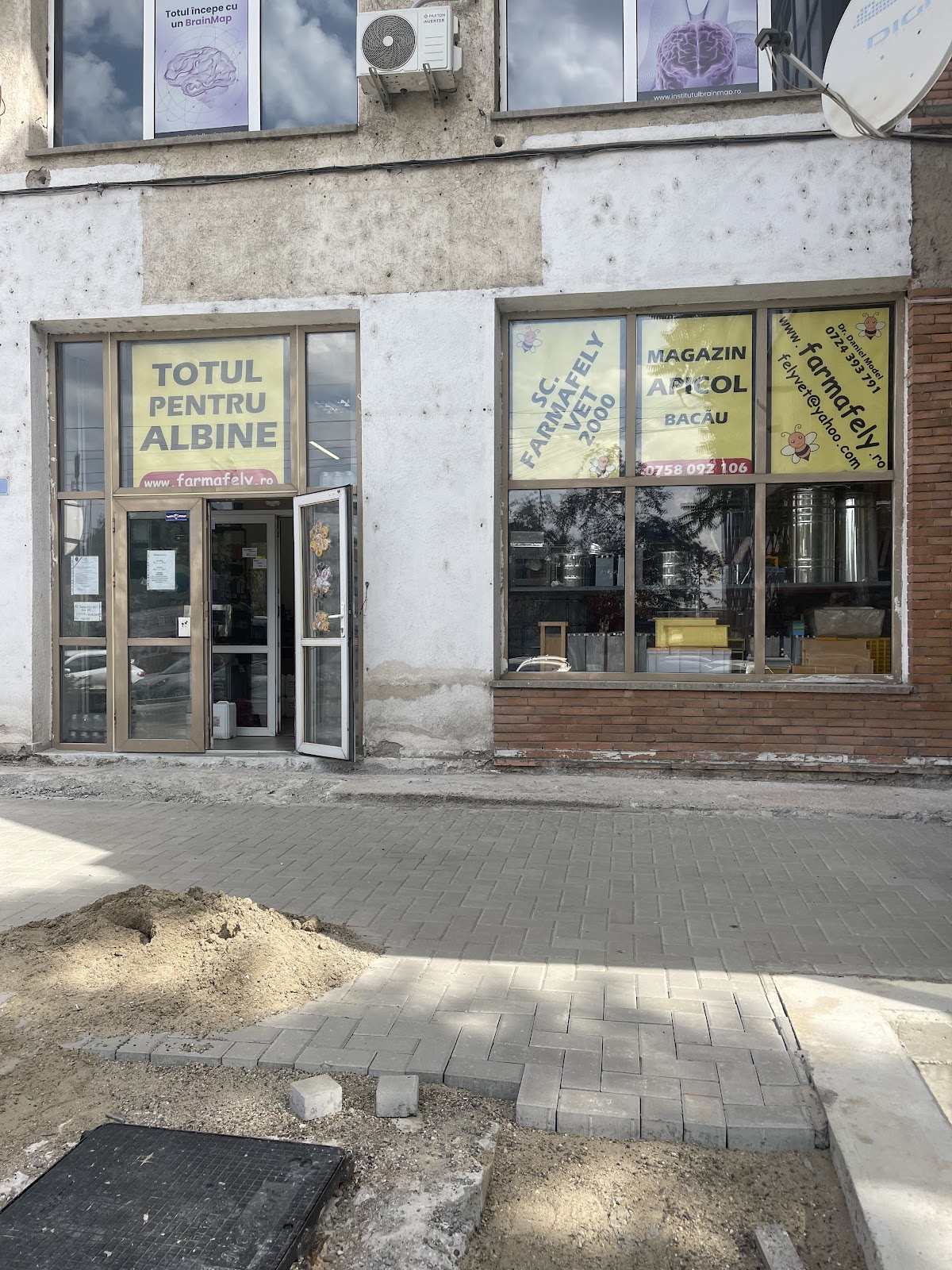 TOTUL PENTRU ALBINE