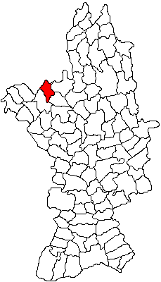 Traditii locale Cârlogani