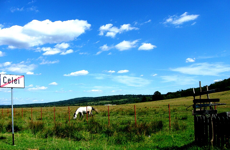 Traditii locale Celei, Celei
