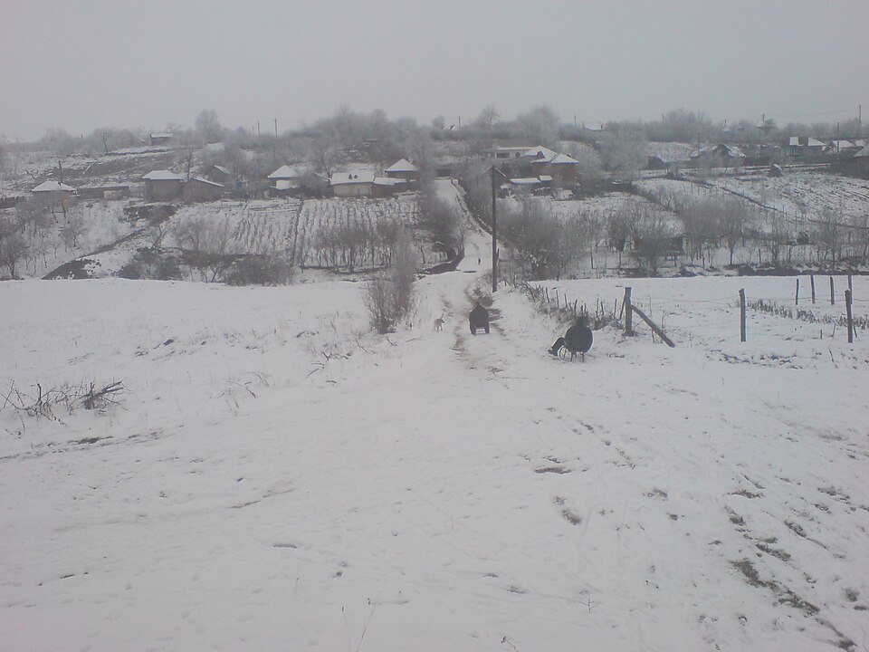 Traditii locale Dobromira