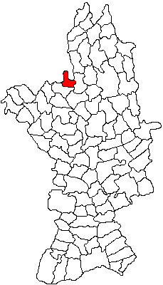 Traditii locale Grădinari, Grădinari