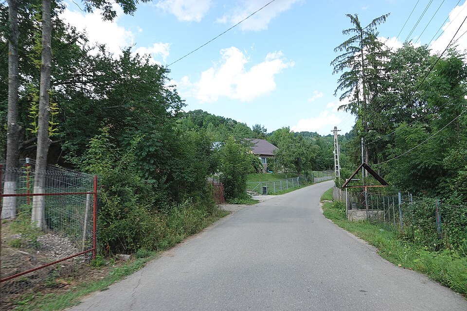 Helyi hagyomanyok Plaiu Cornului