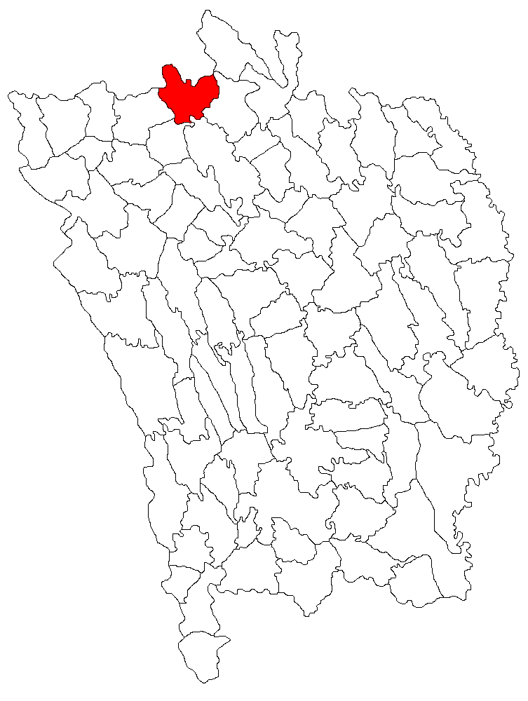 Traditii locale Rebricea