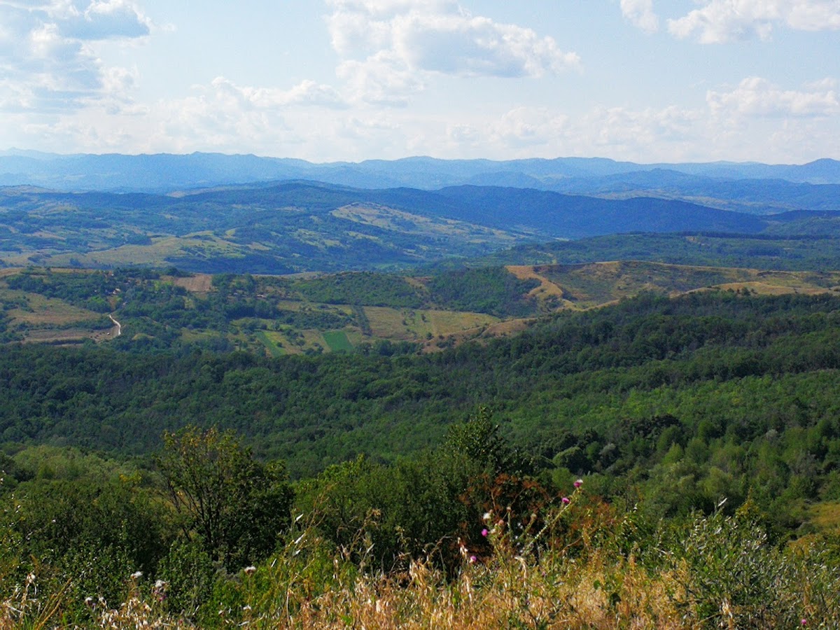 Trans Murgești - foto 2