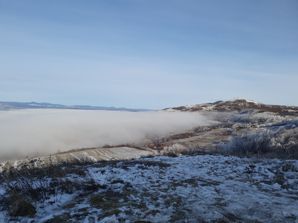 Trans Murgești - foto 3