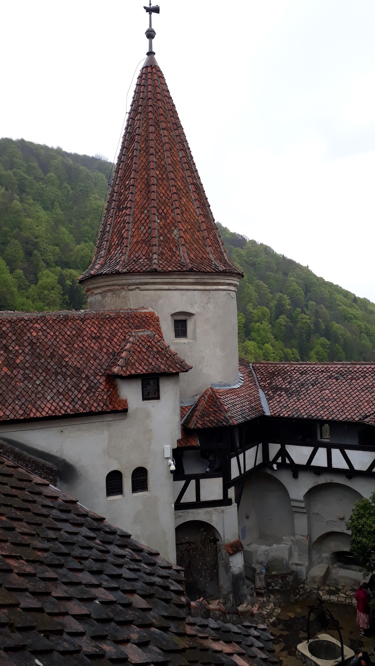 Transilvania Art Gallery - foto 4