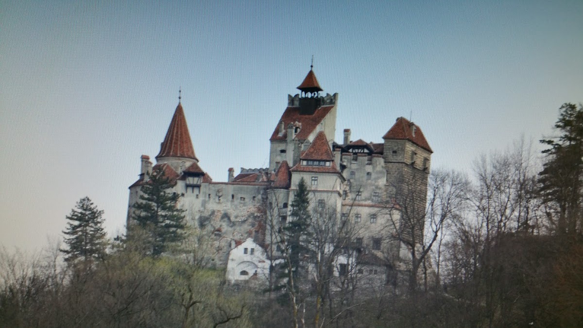 Transilvania Art Gallery - foto 5