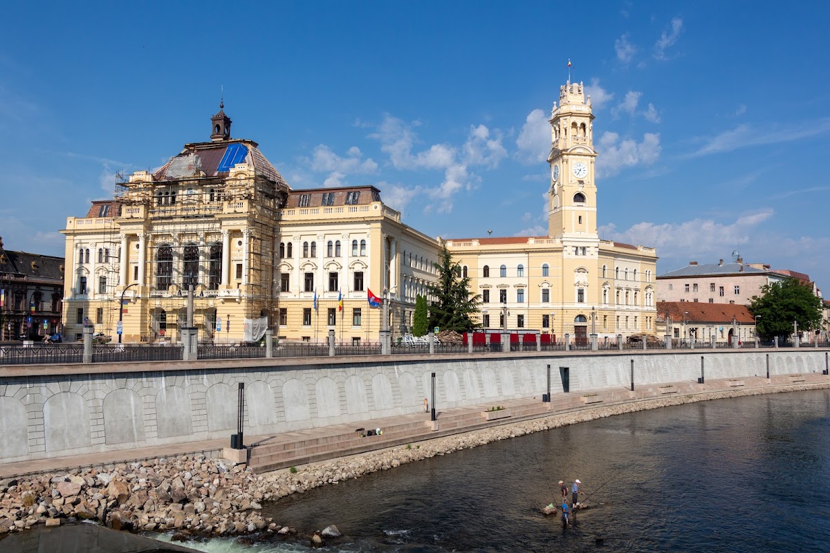 Transit, Oradea
