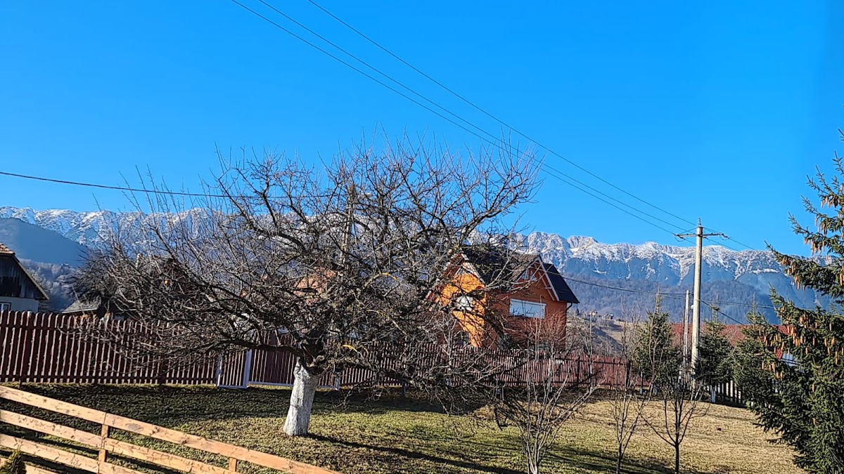 Transylvanian Views
