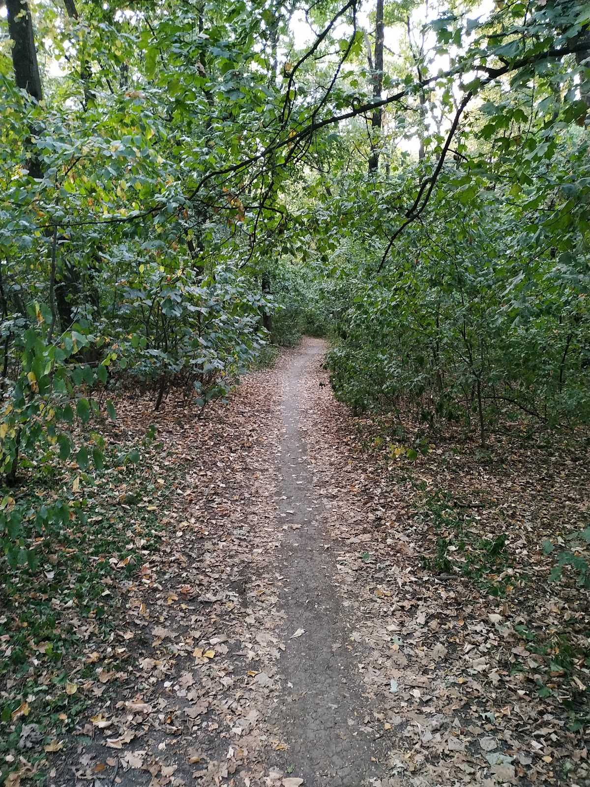Traseu Cicloturistic Uricani - foto 2