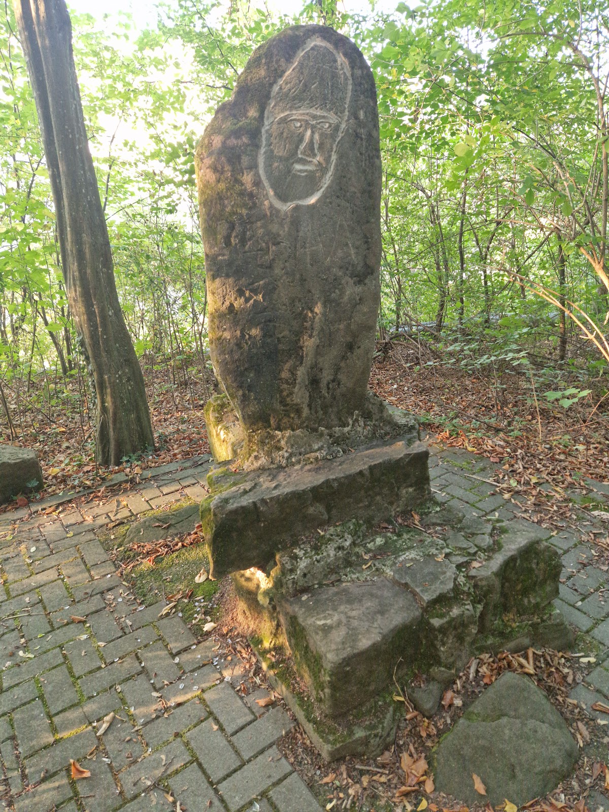 Traseu Cura Balneara - Caciulata/Calimanesti - foto 5