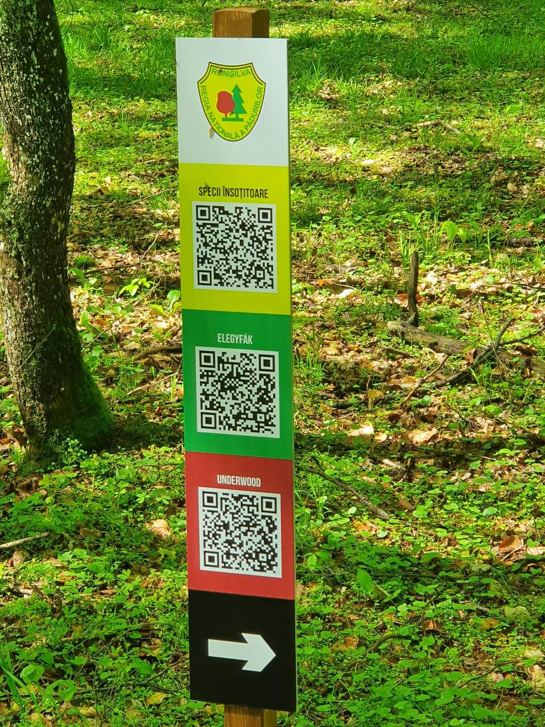 Traseu educativ - Romsilva - foto 3