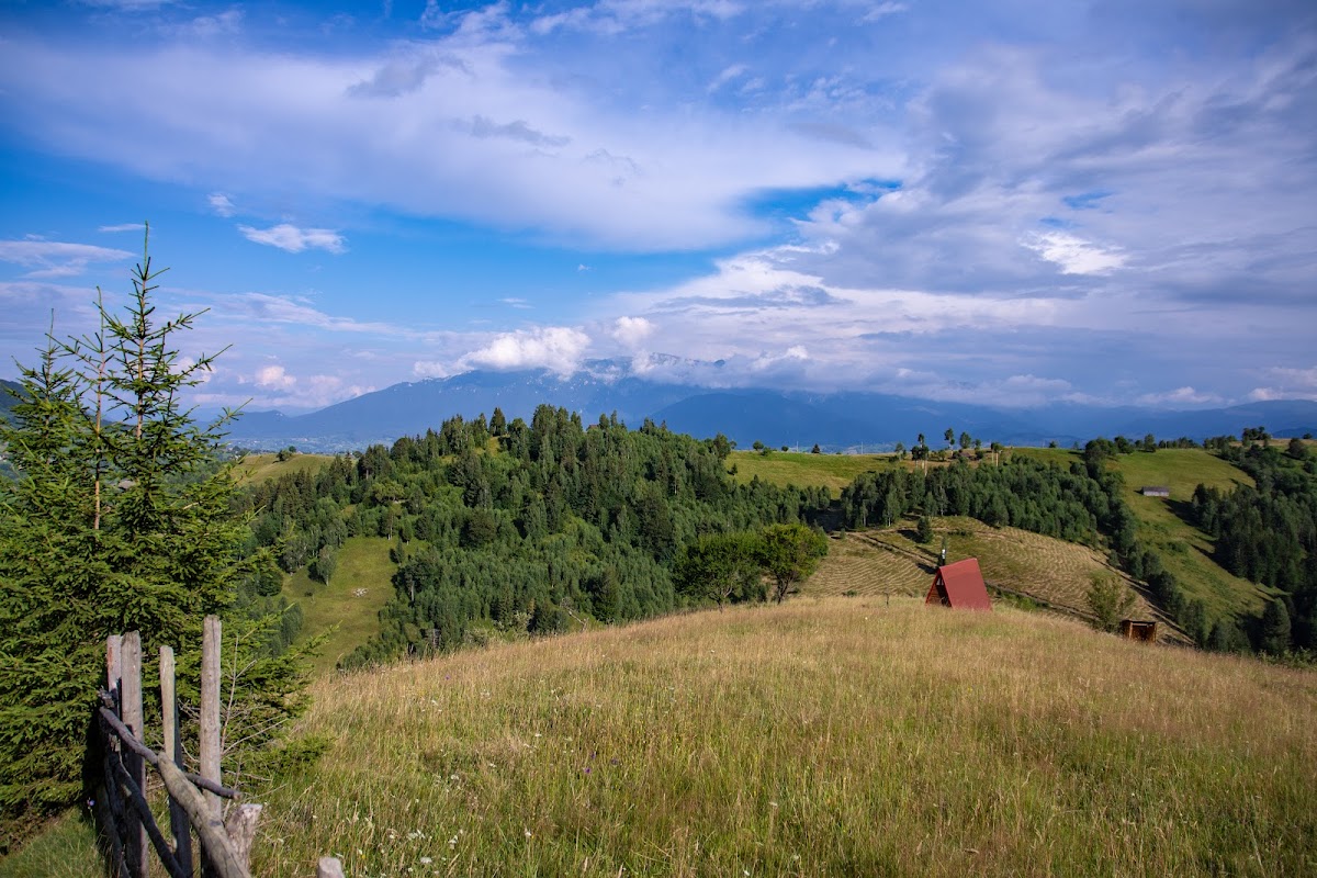 Traseu Măgura - Casa Folea