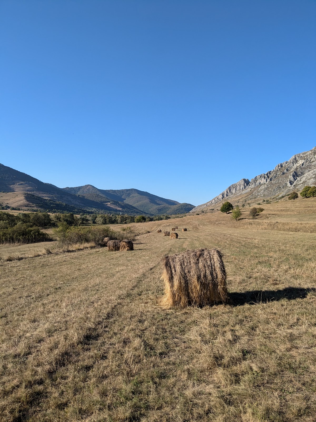 Sentiero Piatra Secuiului - foto 5