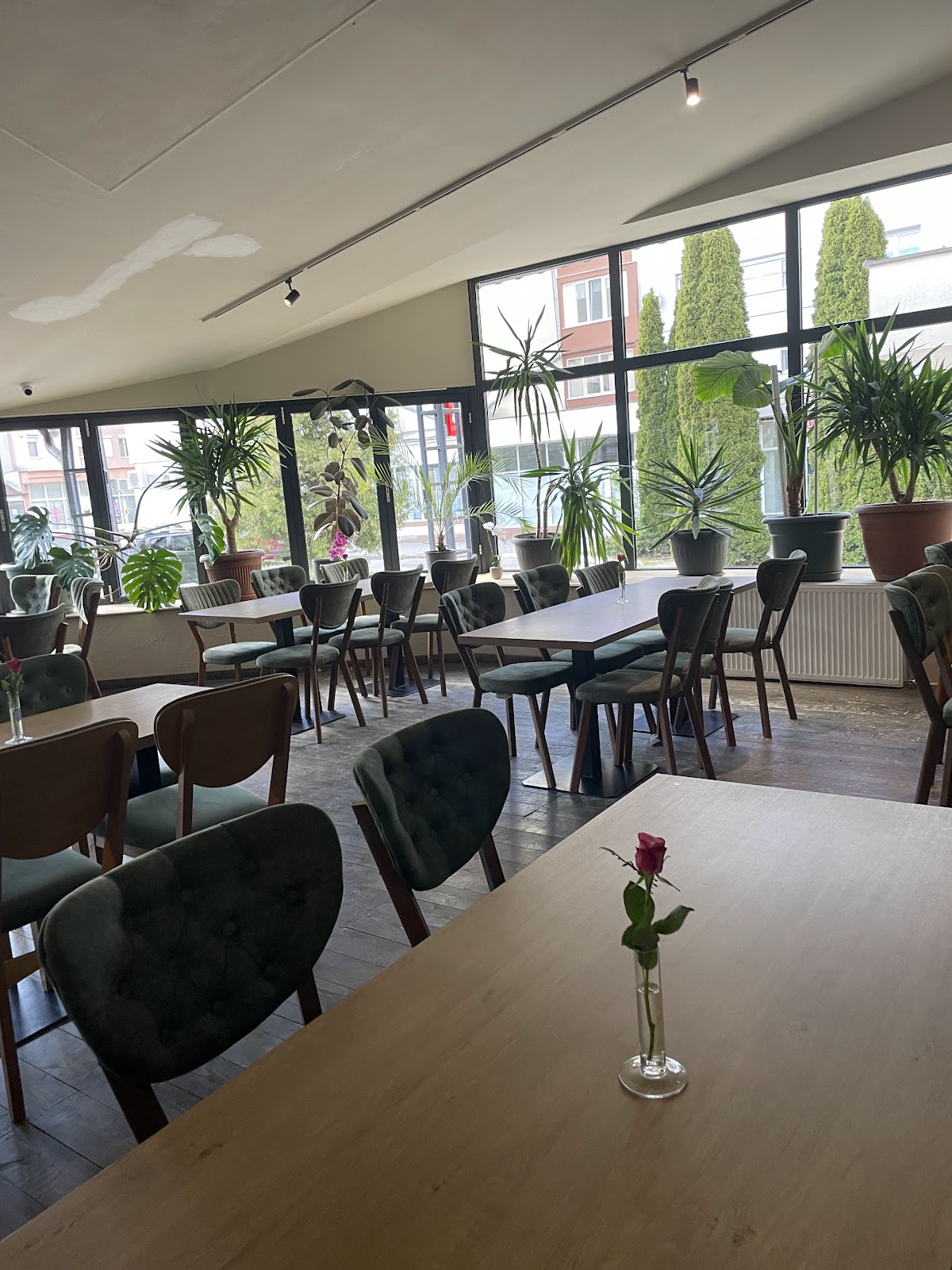 Trattoria Drăgana - foto 4