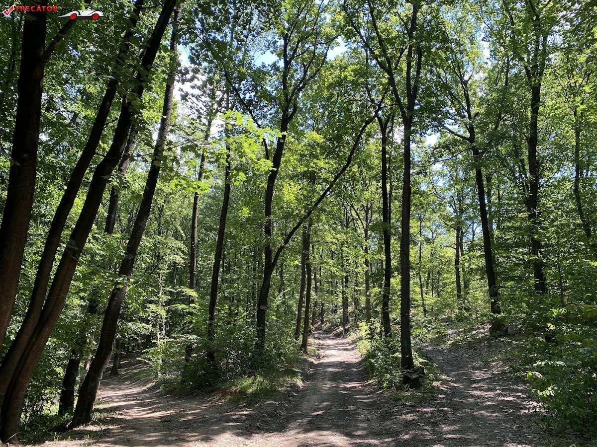 Trono de los Antepasados - foto 2