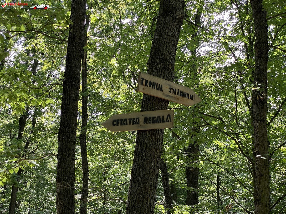 Trono de los Antepasados - foto 3