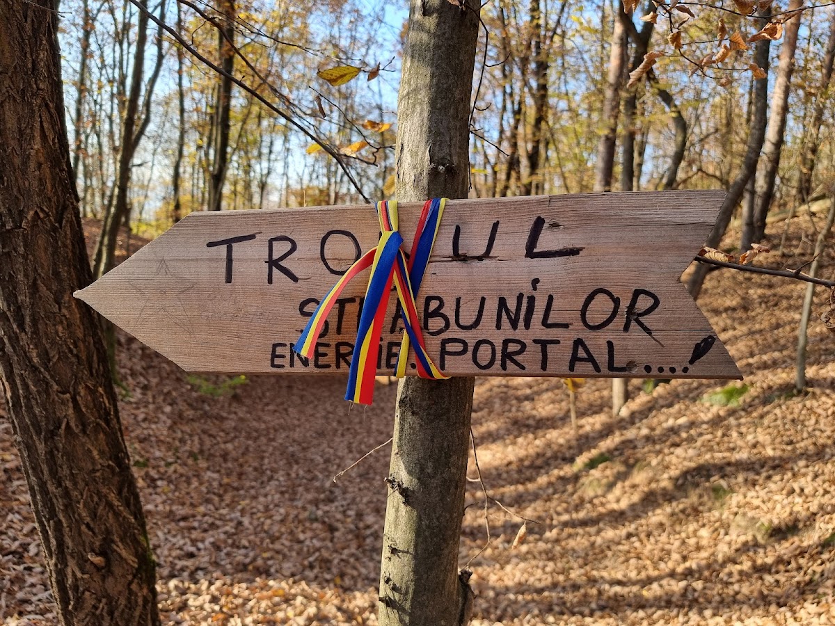 Trono de los Antepasados - foto 5