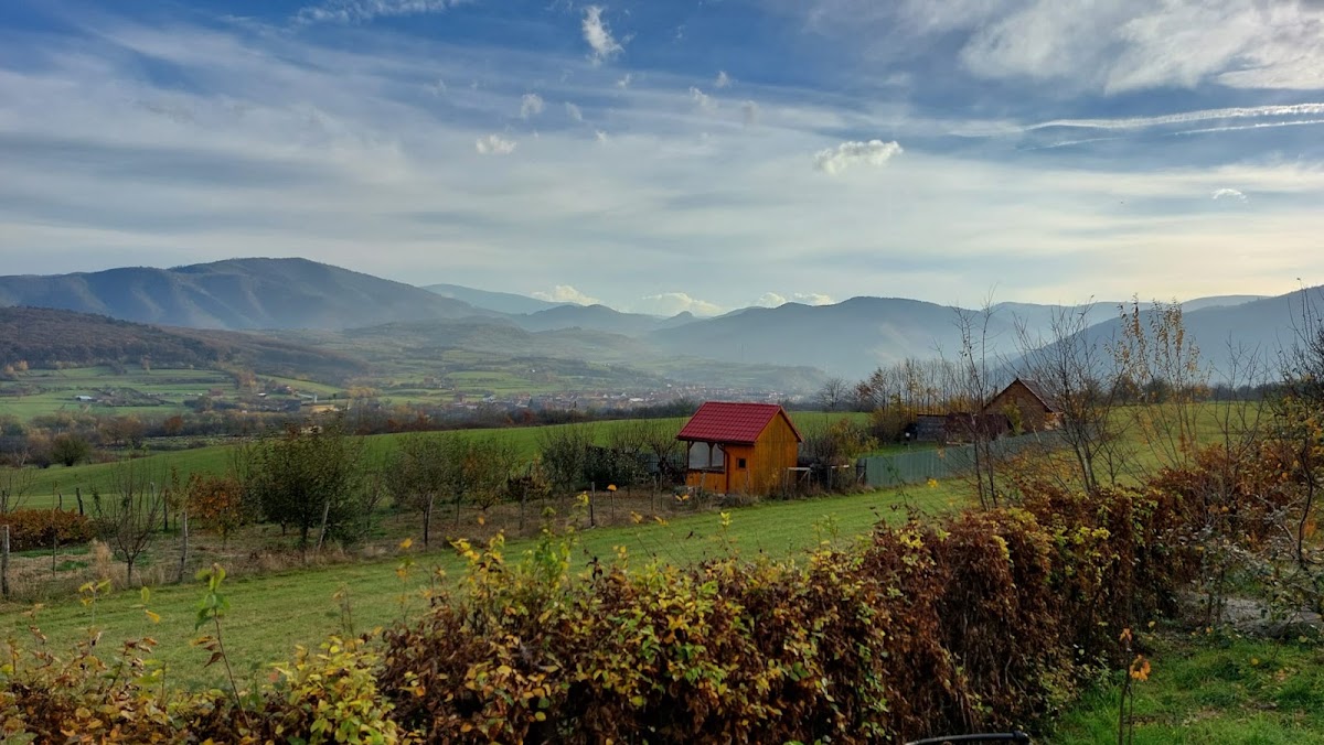 Tropinii Vechi