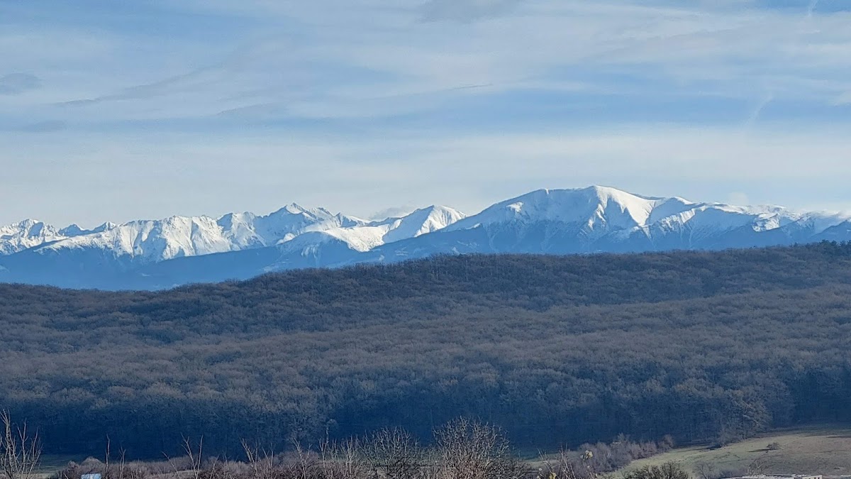 Tropinii Vechi - foto 3