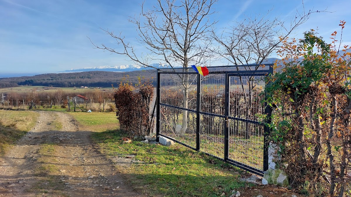 Tropinii Vechi - foto 4