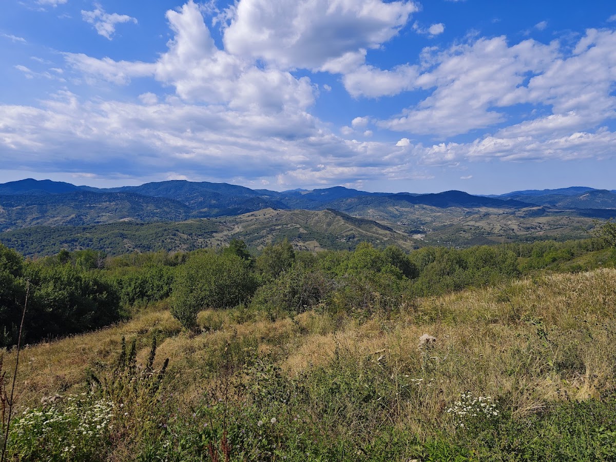 Trovanții de Odăile - foto 3