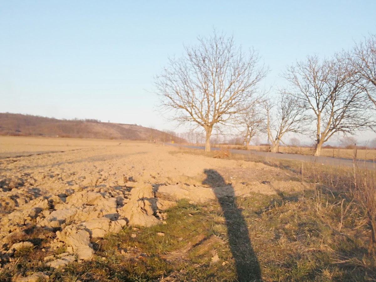 Tufs de Calcaire dans la Valea Bobâlna - foto 2