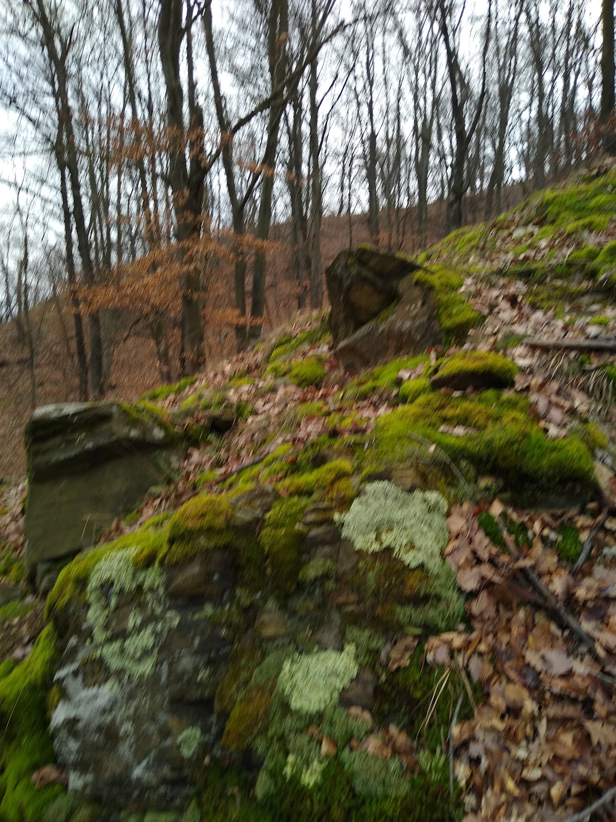 Tufs de Calcaire dans la Valea Bobâlna - foto 4