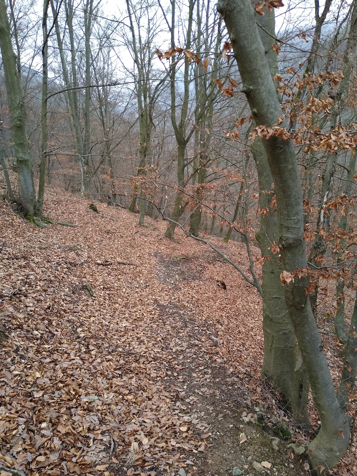 Tufs de Calcaire dans la Valea Bobâlna - foto 5