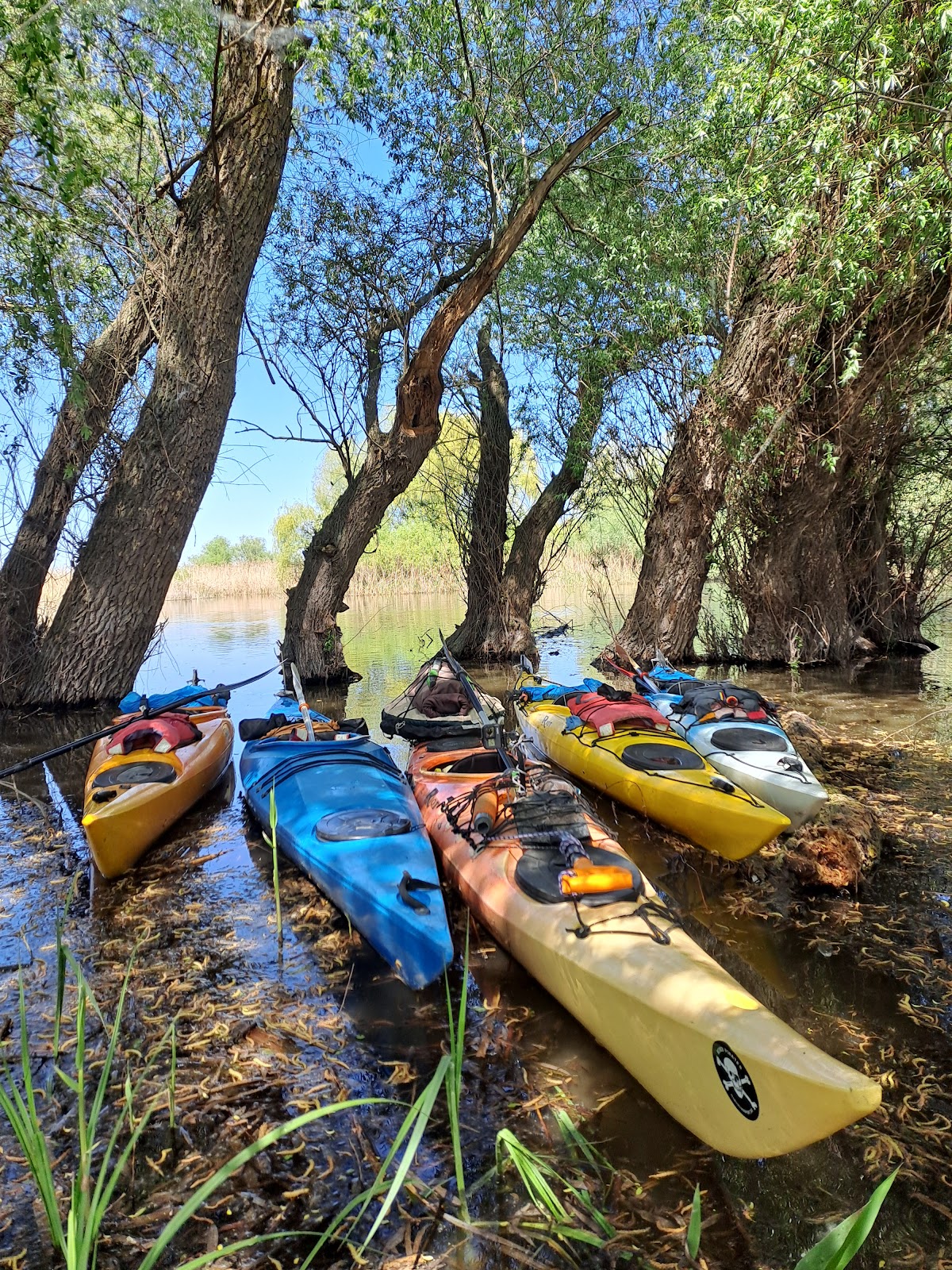 Kajakos Túrák és Kemping - foto 1