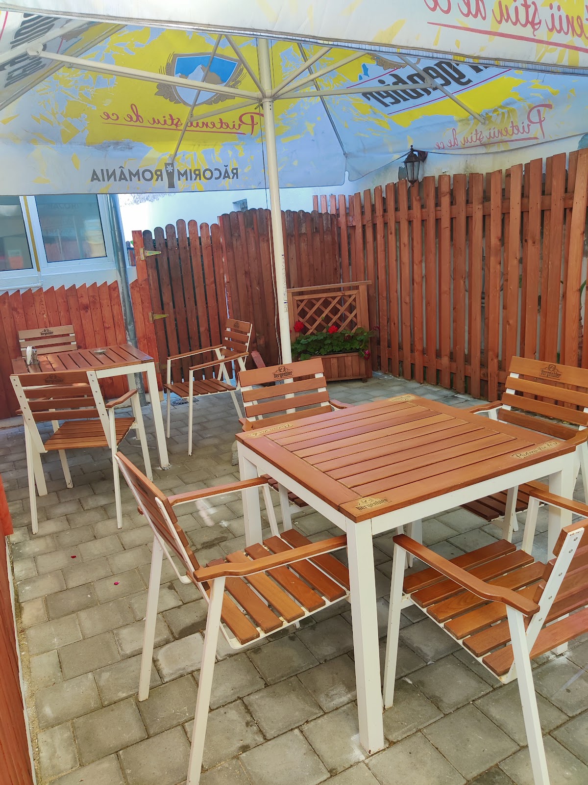 Turtica Magică - foto 1