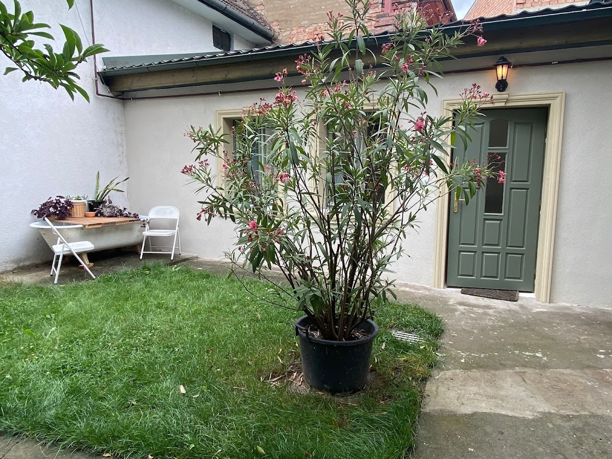 Urban Oasis Guesthouse, Târgu Mureş