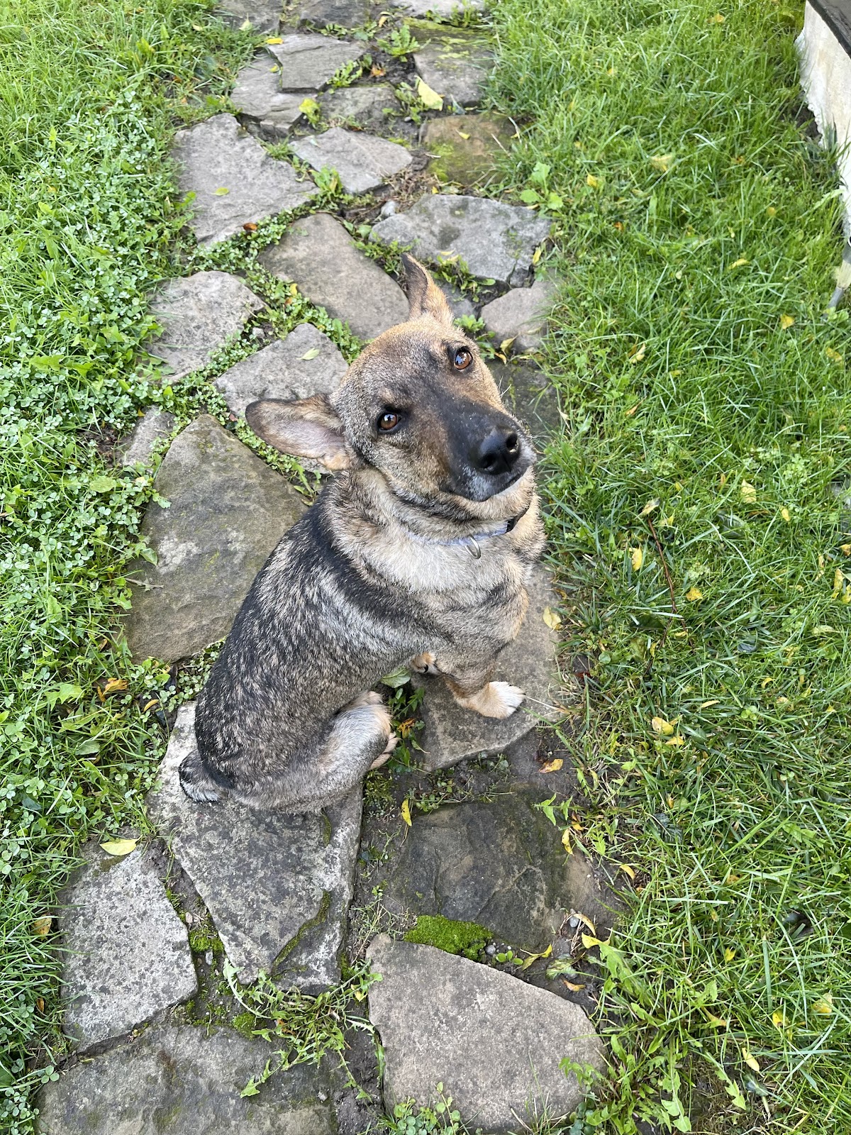 ValchidGuestHouse - foto 5