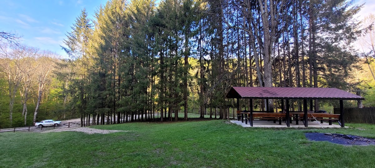 Valea Aninoasei - foto 2
