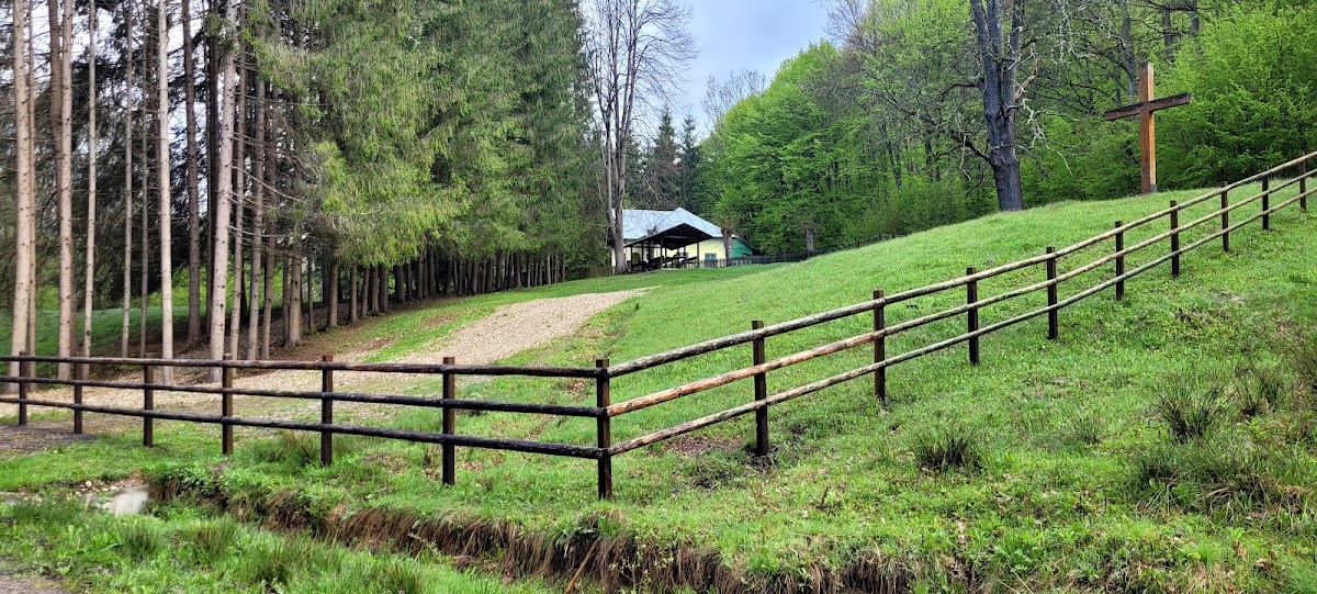 Valea Aninoasei - foto 5