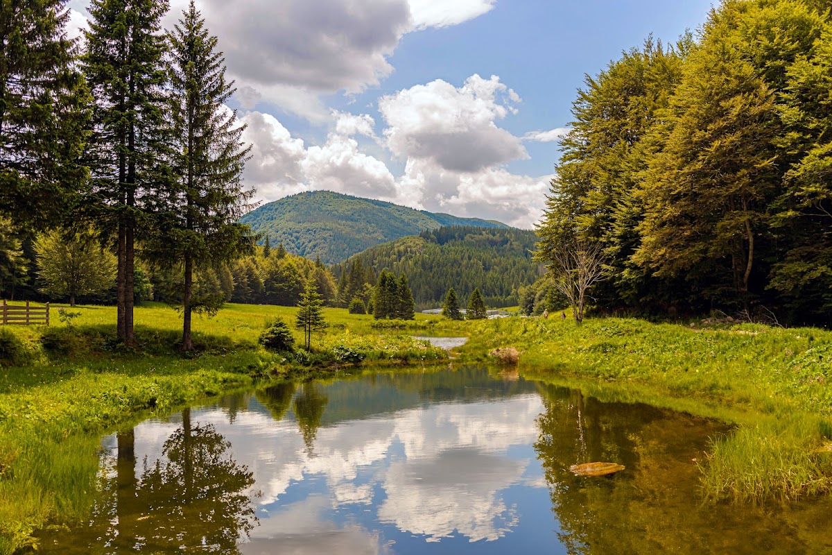 Valea Berii - foto 2