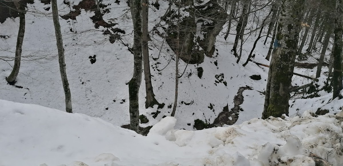 Valea Berii - foto 4