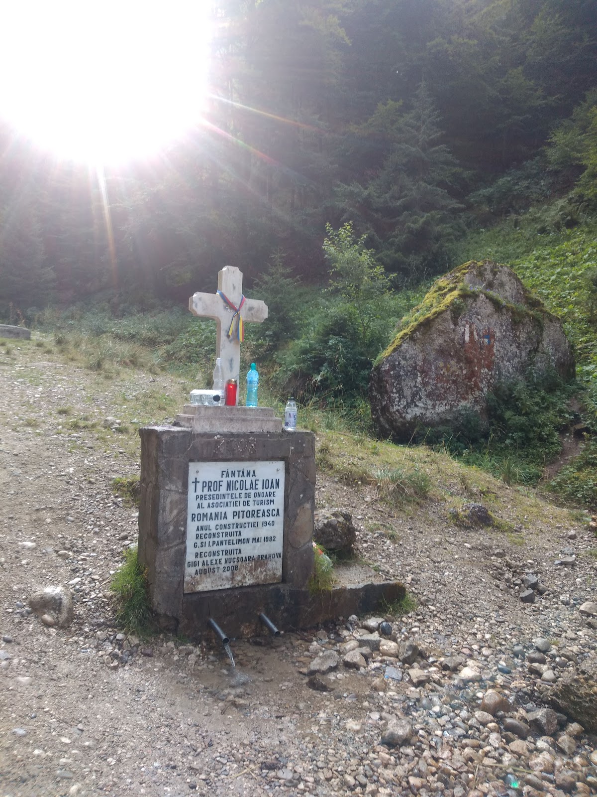 Valea Berii - foto 5