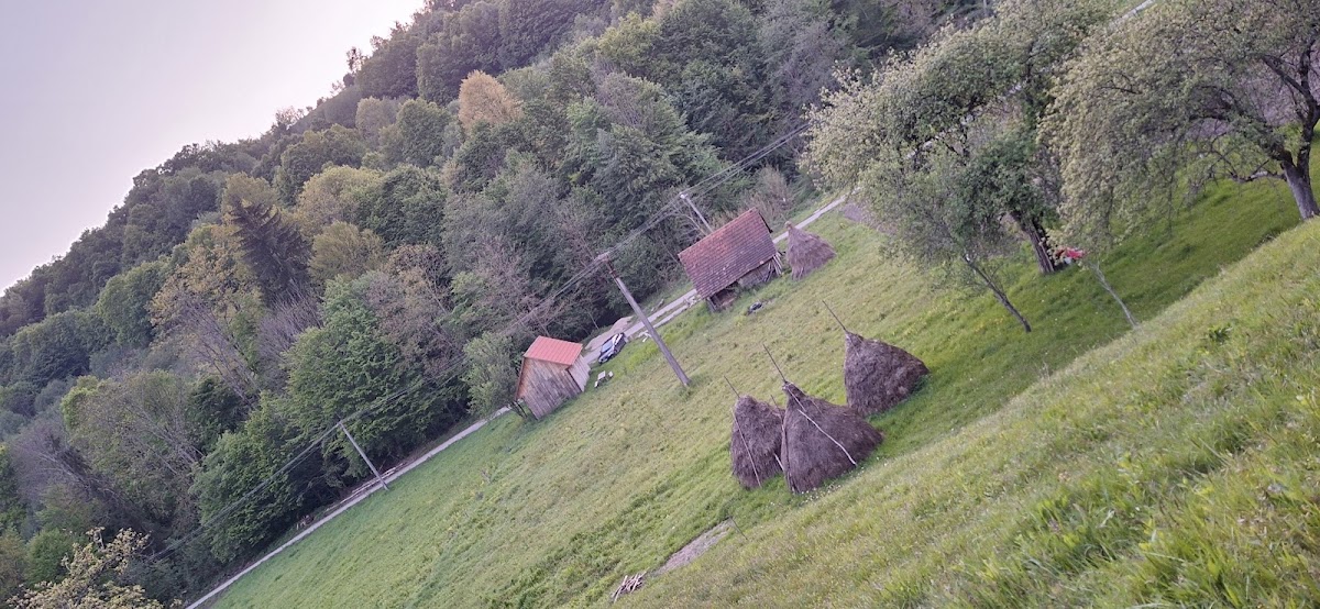 Brusturi