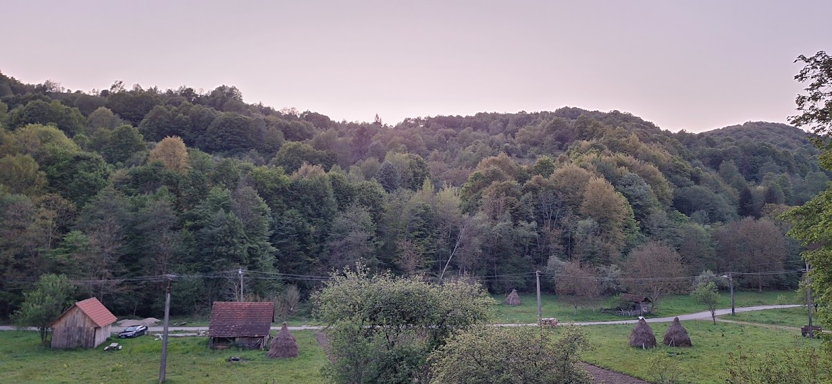 Valea Brusturi - foto 2