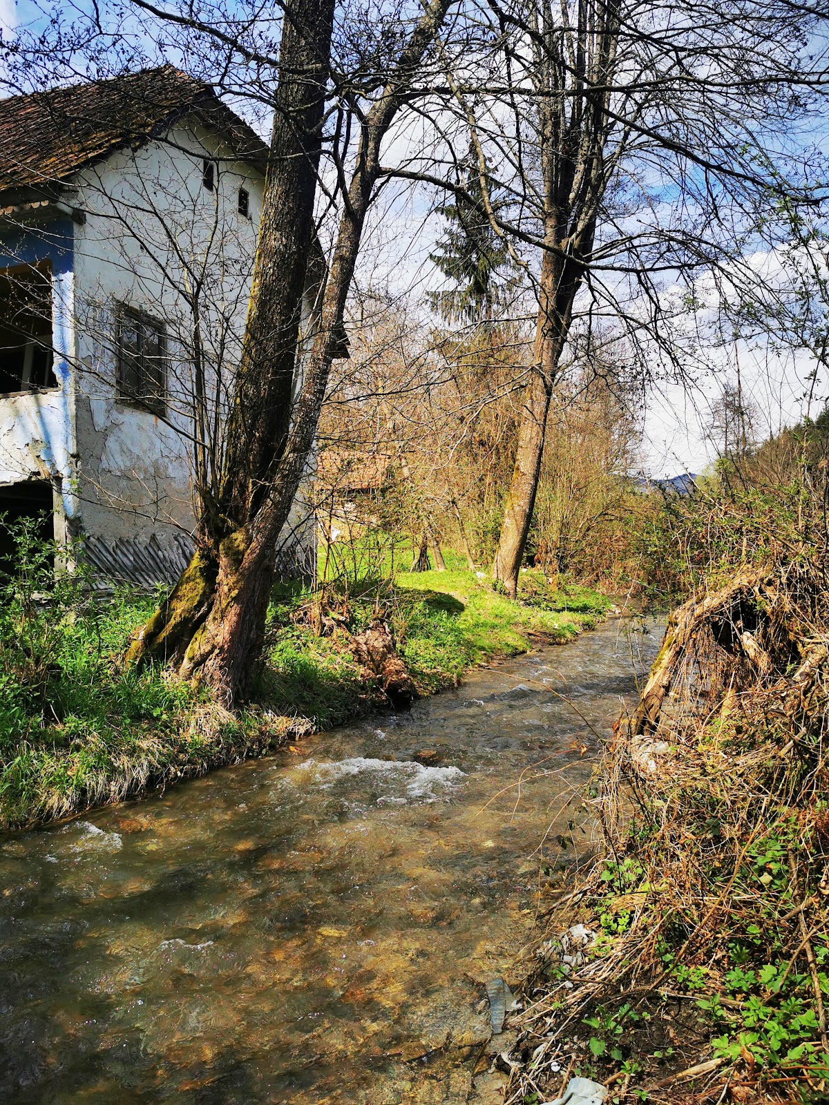 Valea Brusturi - foto 3
