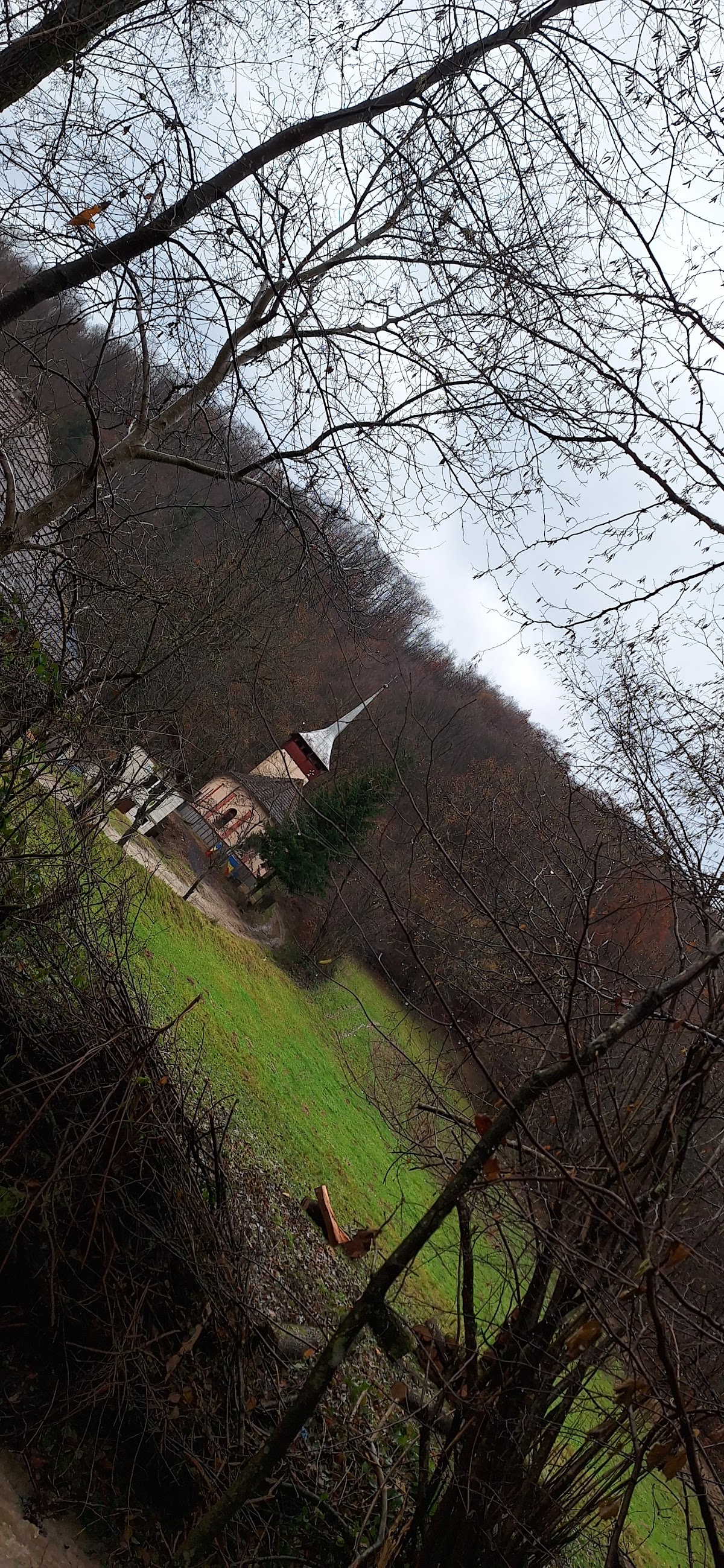 Valea Brusturi - foto 4